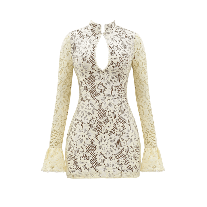 Bella Vita Lace Mini Dress