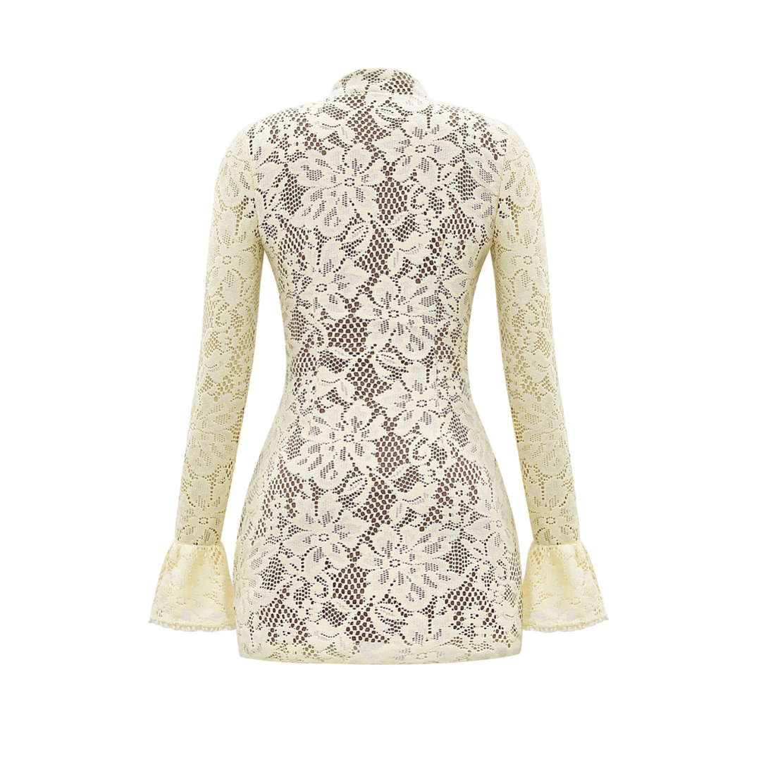 Bella Vita Lace Mini Dress
