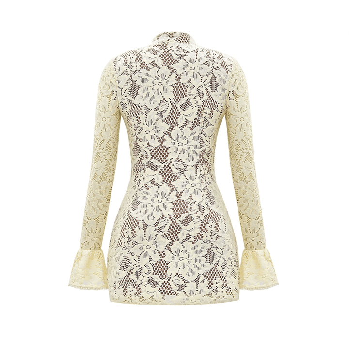Bella Vita Lace Mini Dress